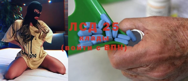 ешки Вяземский