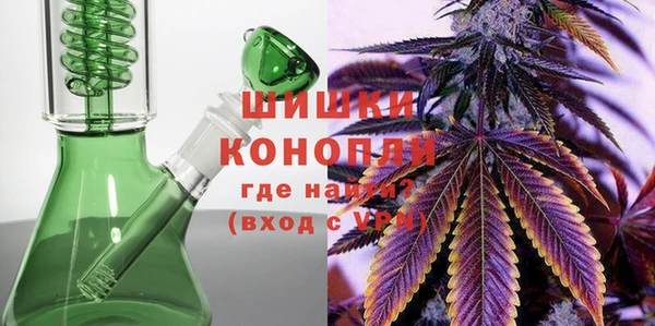 PSILOCYBIN Новозыбков