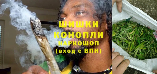 сатива Няндома